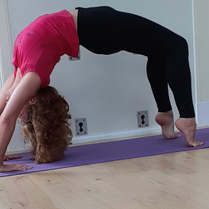 iyengar-yoga-grid
