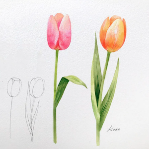 drawing