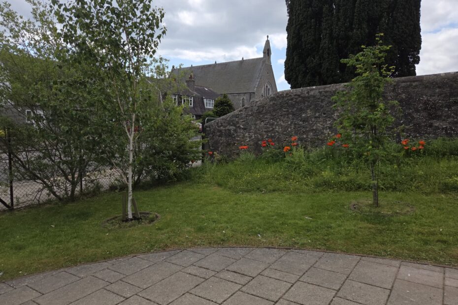 Join us for our Music in the Gardens Open Day on Saturday 8 August